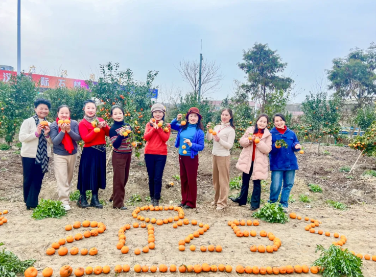 鉴黑担保网(jhdbw)·最具权威唯一维权担保平台